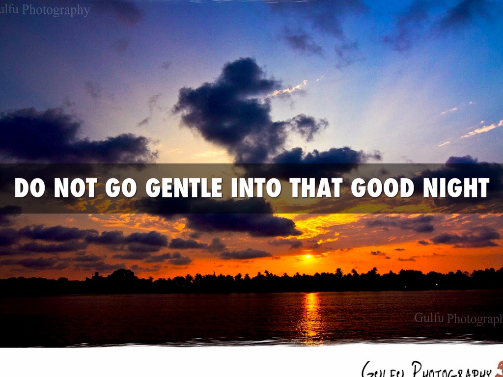 Dont go gentle into that good night essay