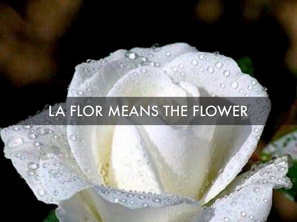 Speech by nayelivegalopez