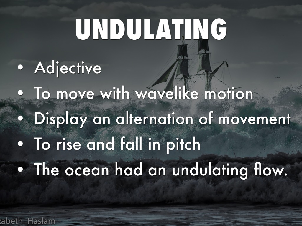 Undulate Example Quarter 2 Vocab by Kelly M