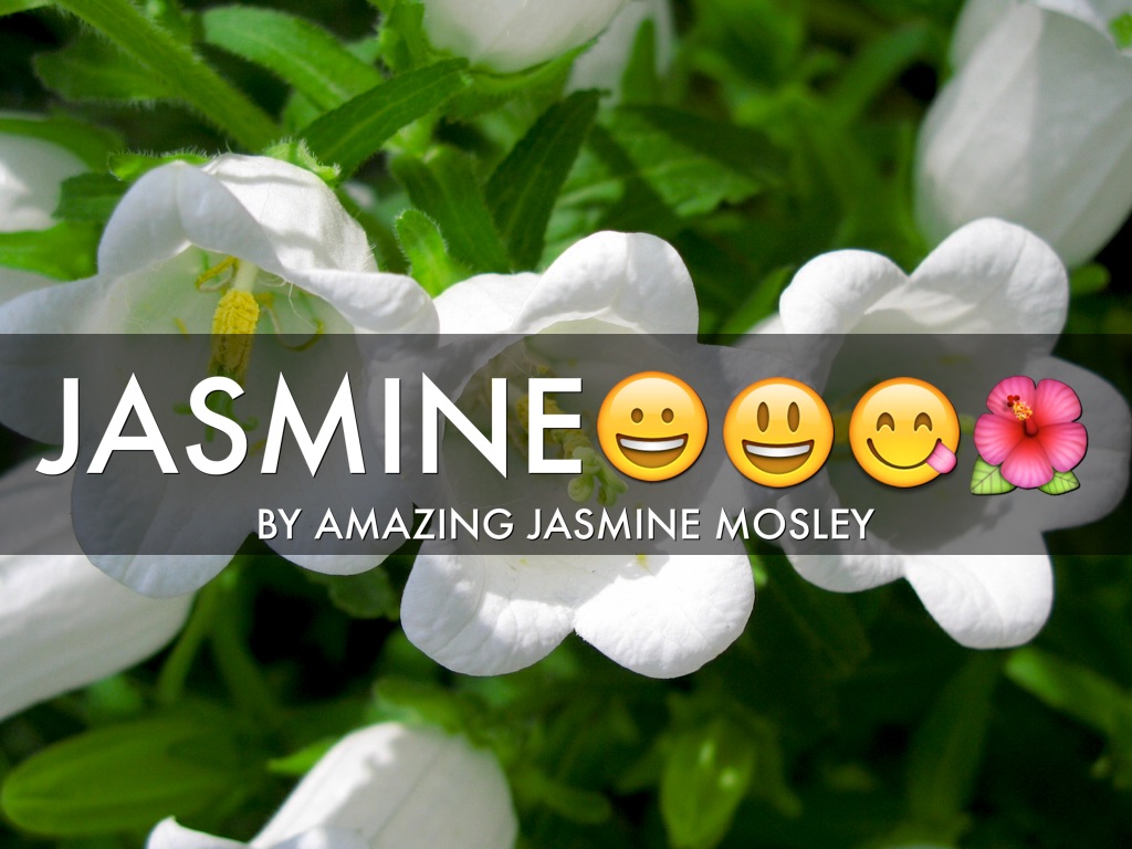 Jasmine 
