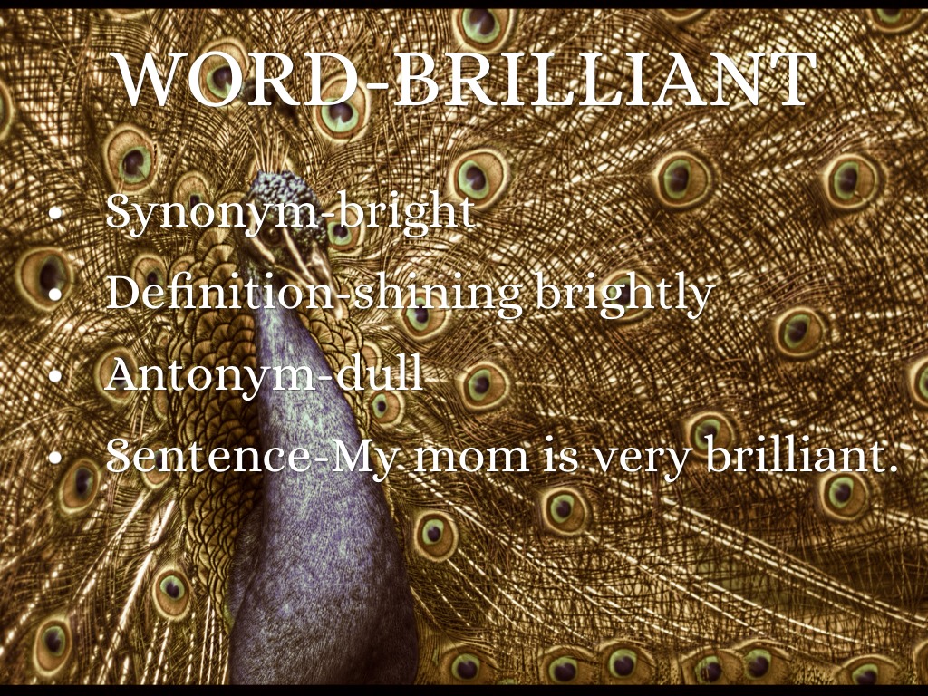 How Night Came From The Sea