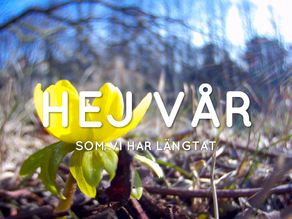Hej vår!