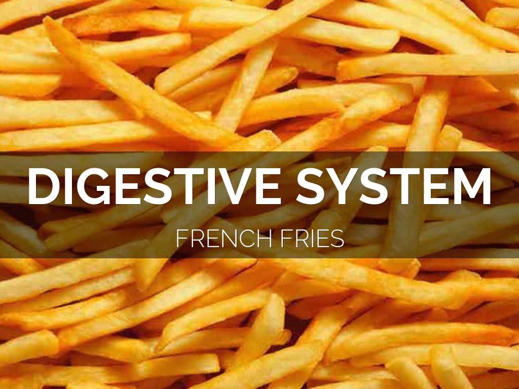 Copy of Digestive System