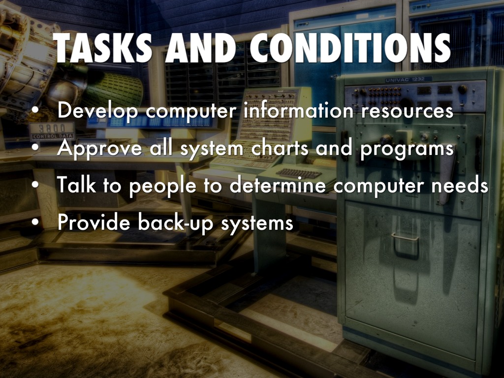 Computer And Information System Managers/lesley by