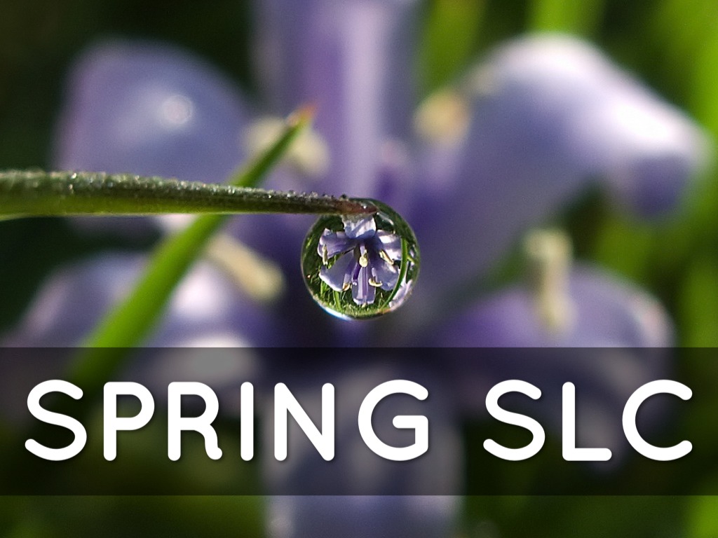 Spring SLC