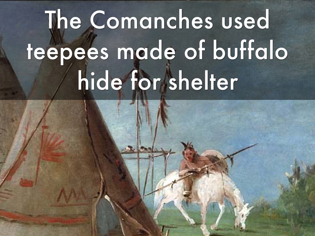 Comanche by Carter Lucas
