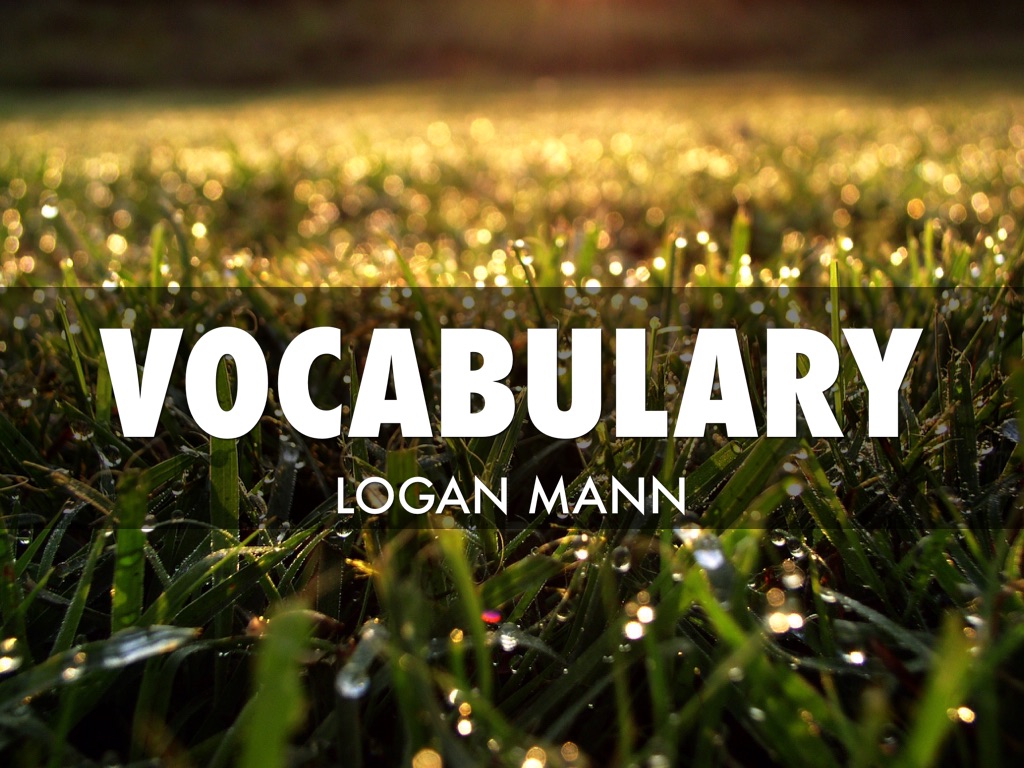 Vocabulary 