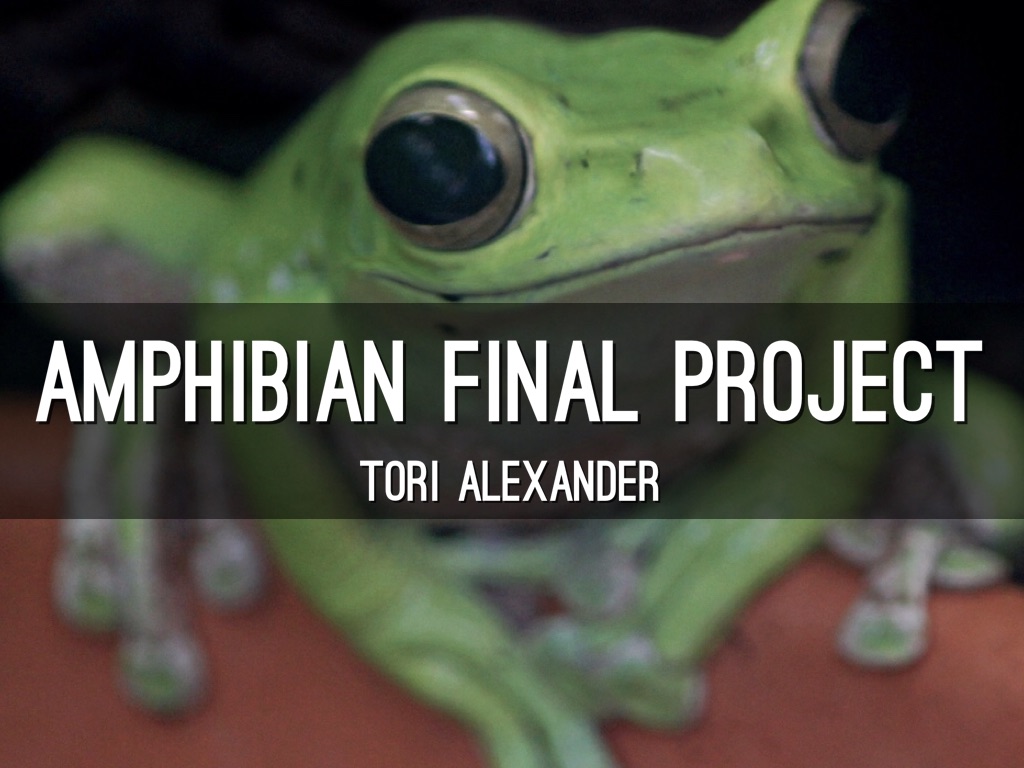 Amphibian Final Project