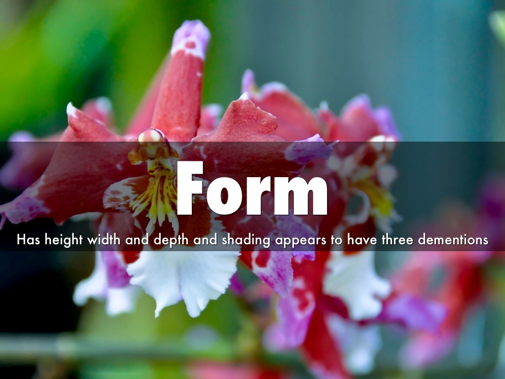Form