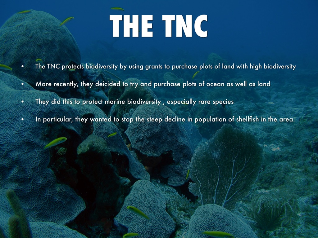 Environmental science case studies image