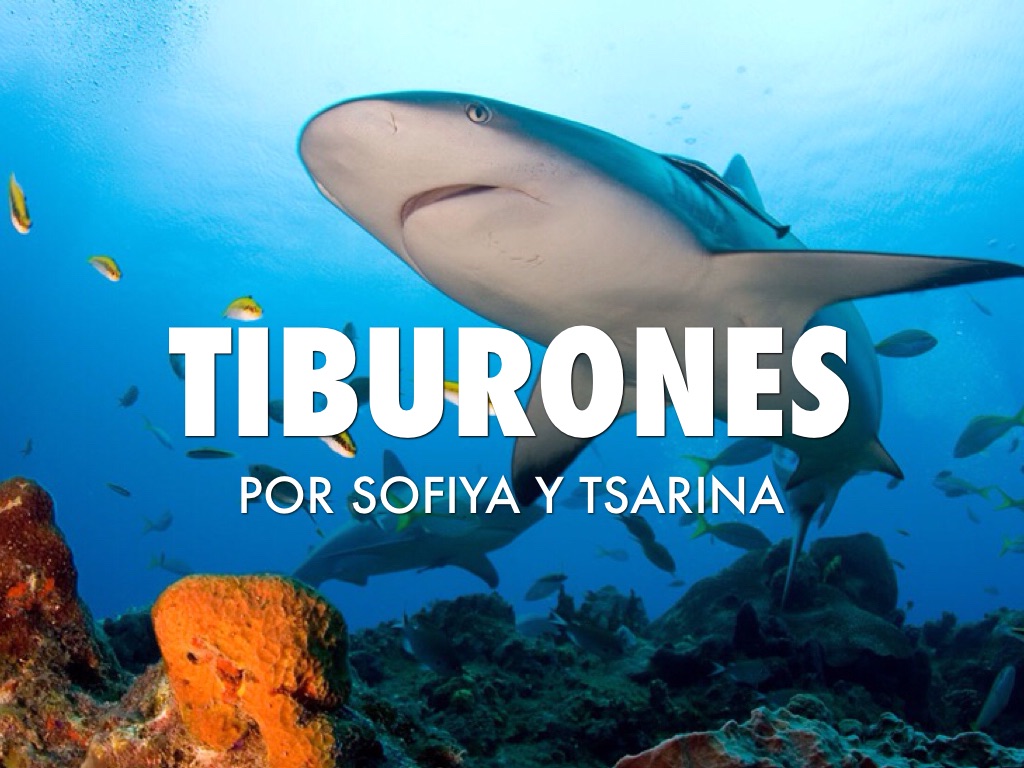 Los Tiburones