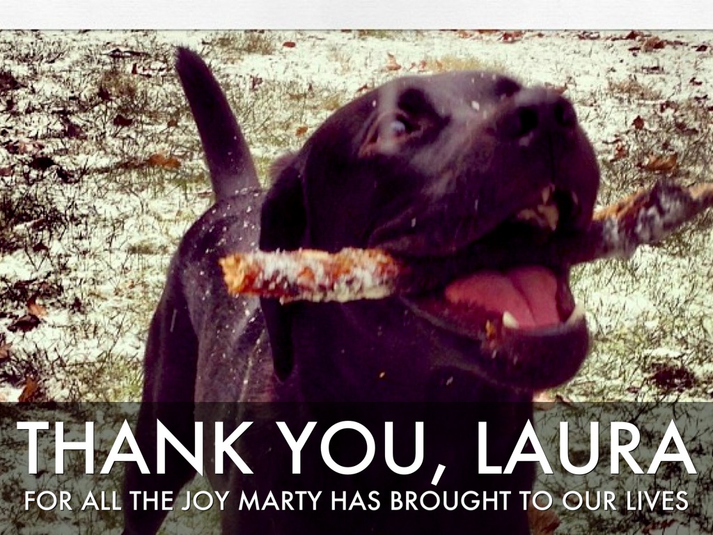 Thank You, Laura (Marty's Birthday) by Alexander