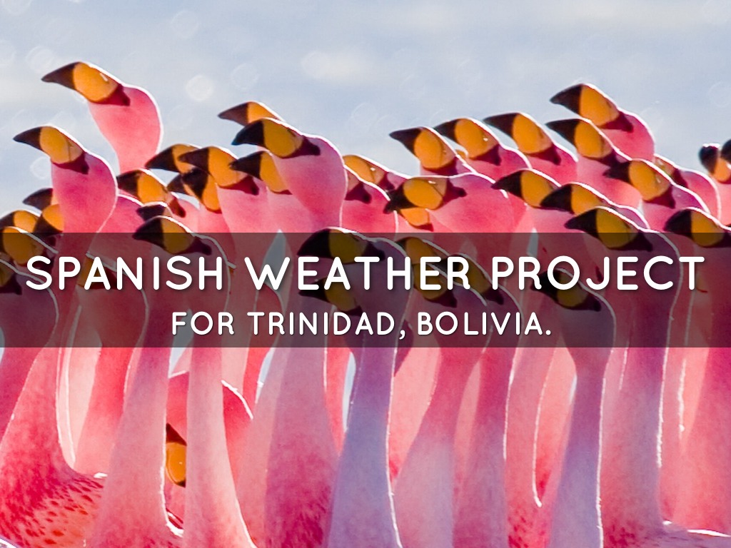 El Tiempo En Trinidad, Bolivia.