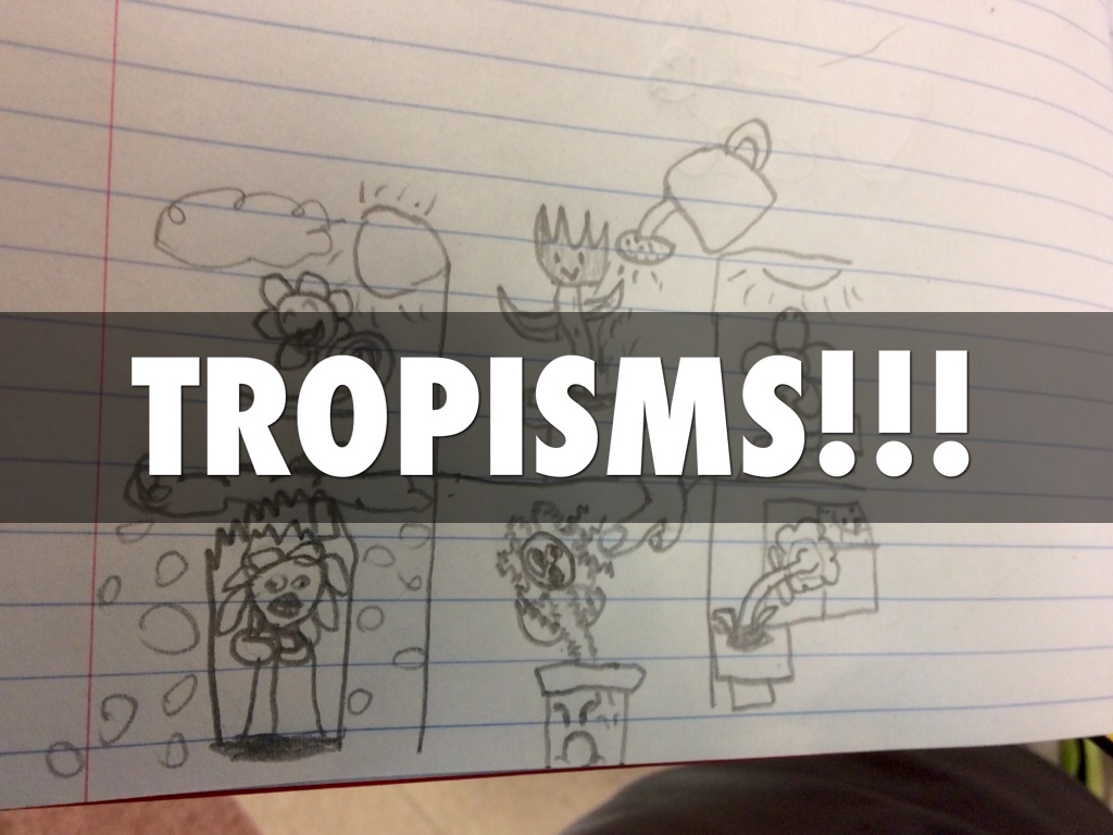 Tropisms