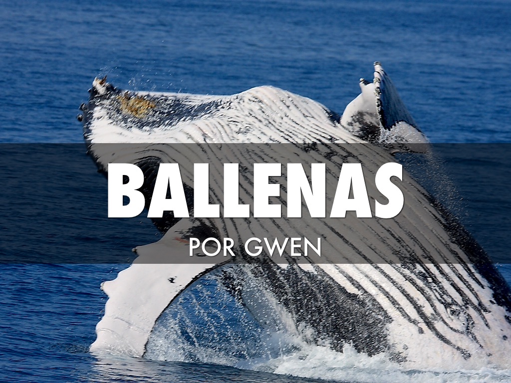 Ballenas