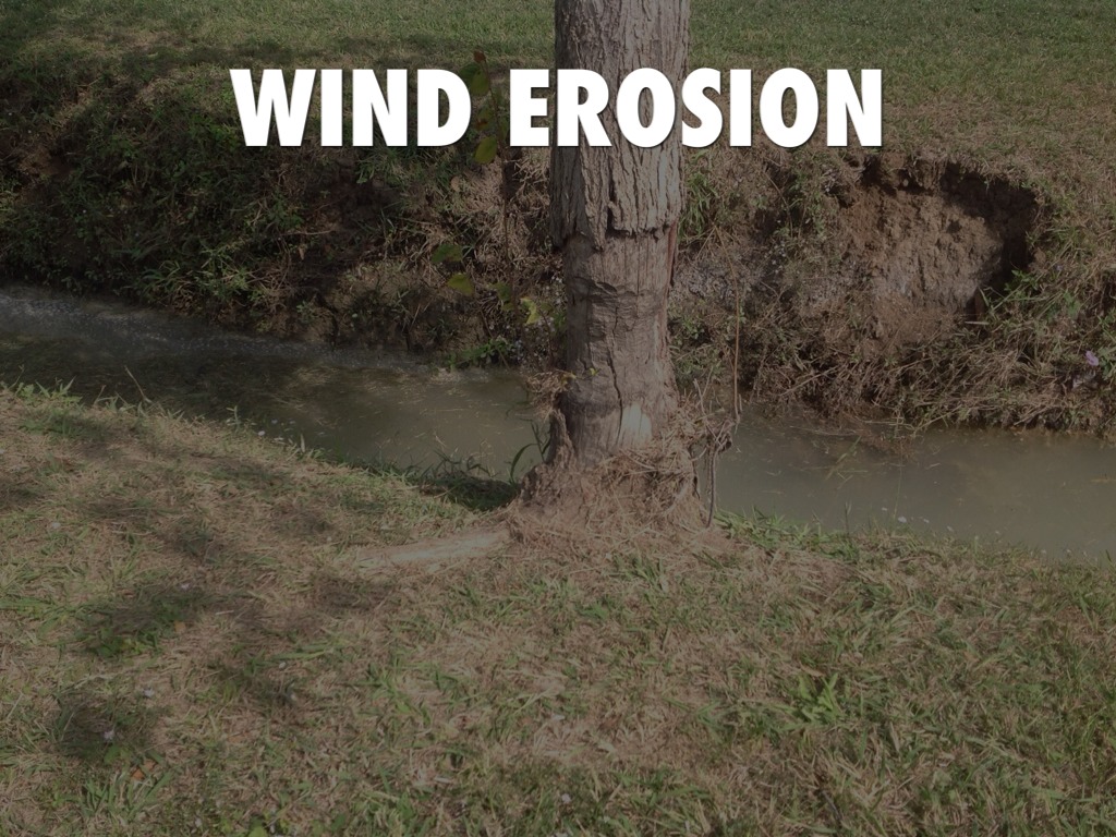 how to prevent wind erosion how to prevent wind erosion