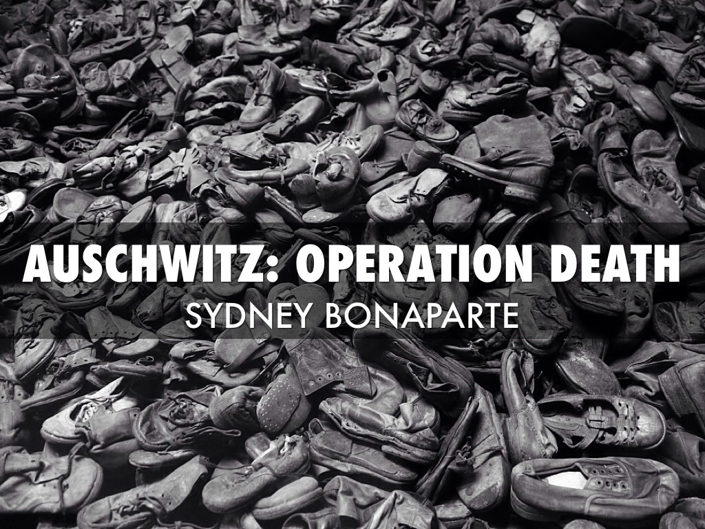 Auschwitz:operation Death