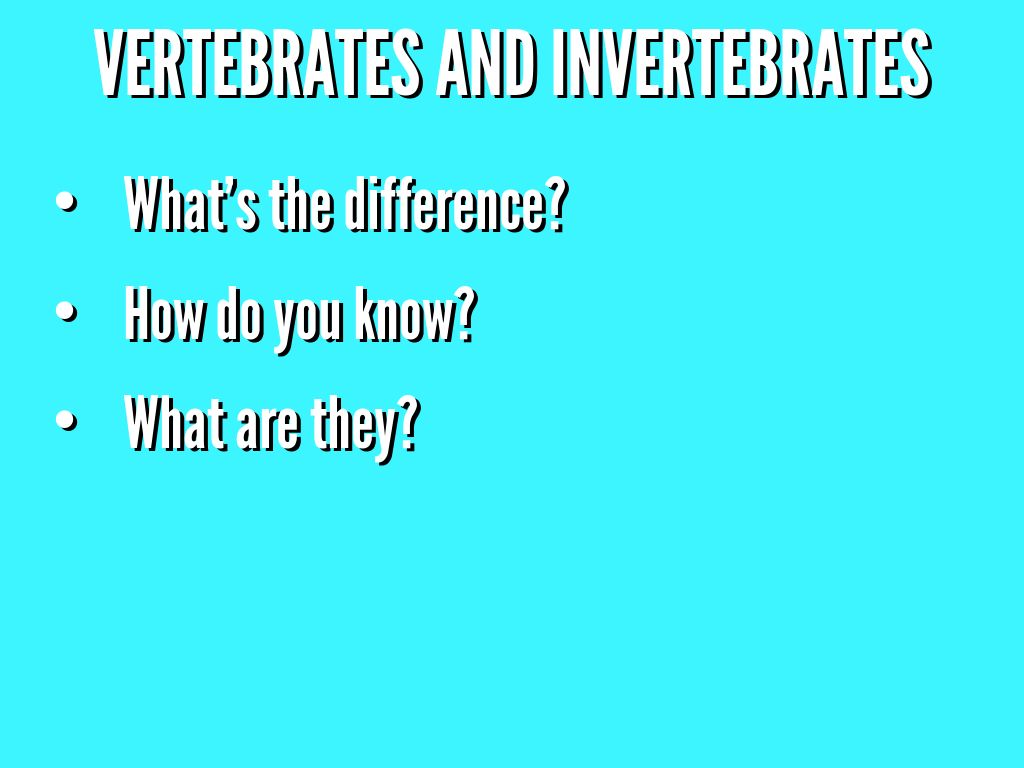 Vertebrates and Invertebrates