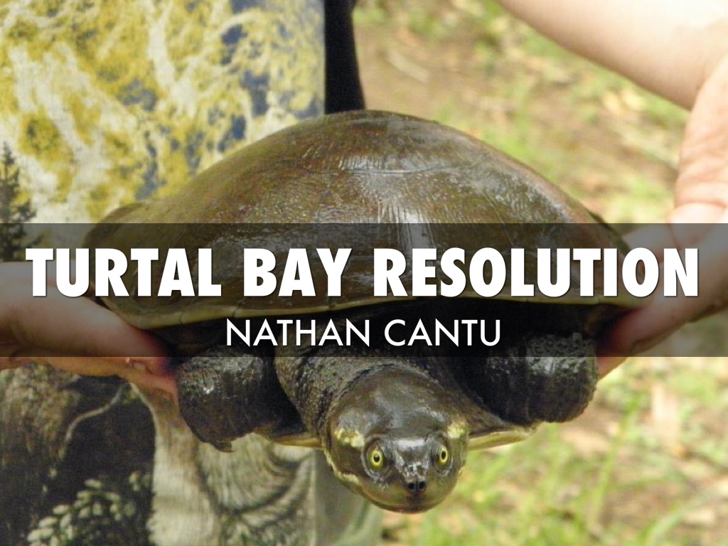 Steps Toward The Texas Revolution 