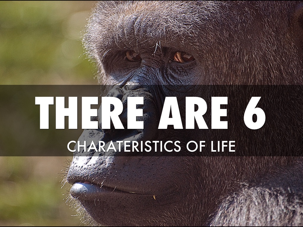 Characteristics Of Life
