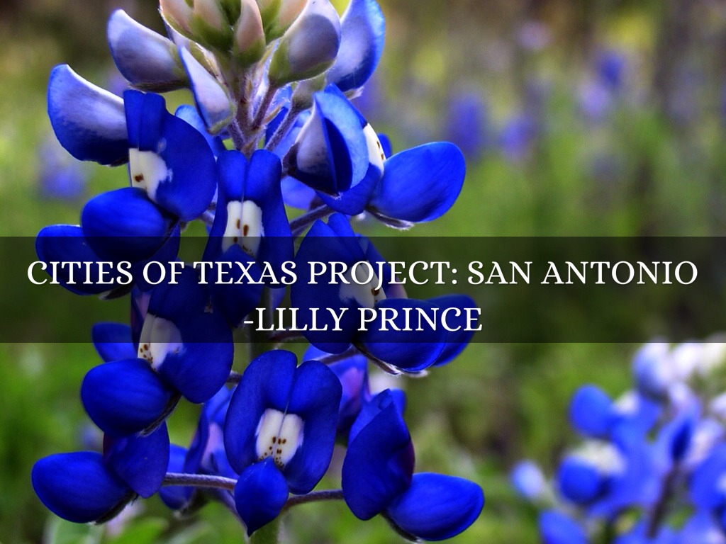 Cities Of Texas Project: San Antonio