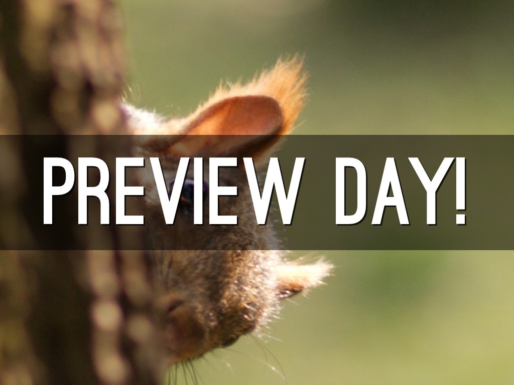 Preview Day!