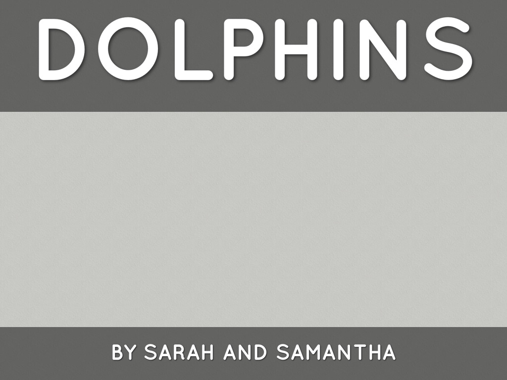 Sarah And Samantha Dolphin 