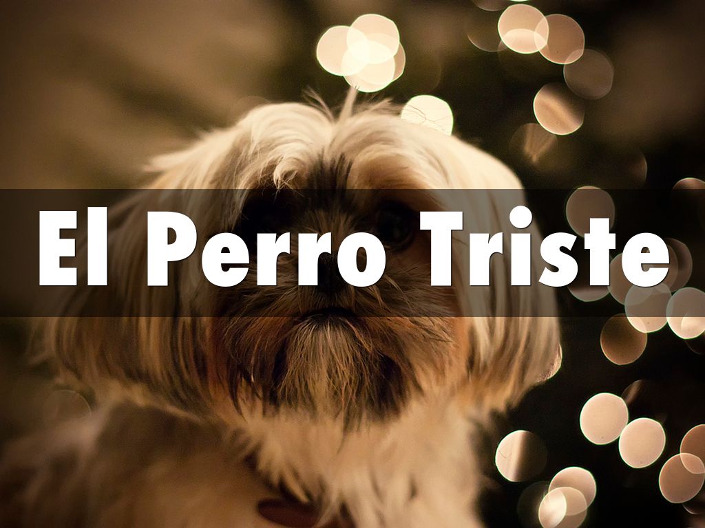 El Perro Triste