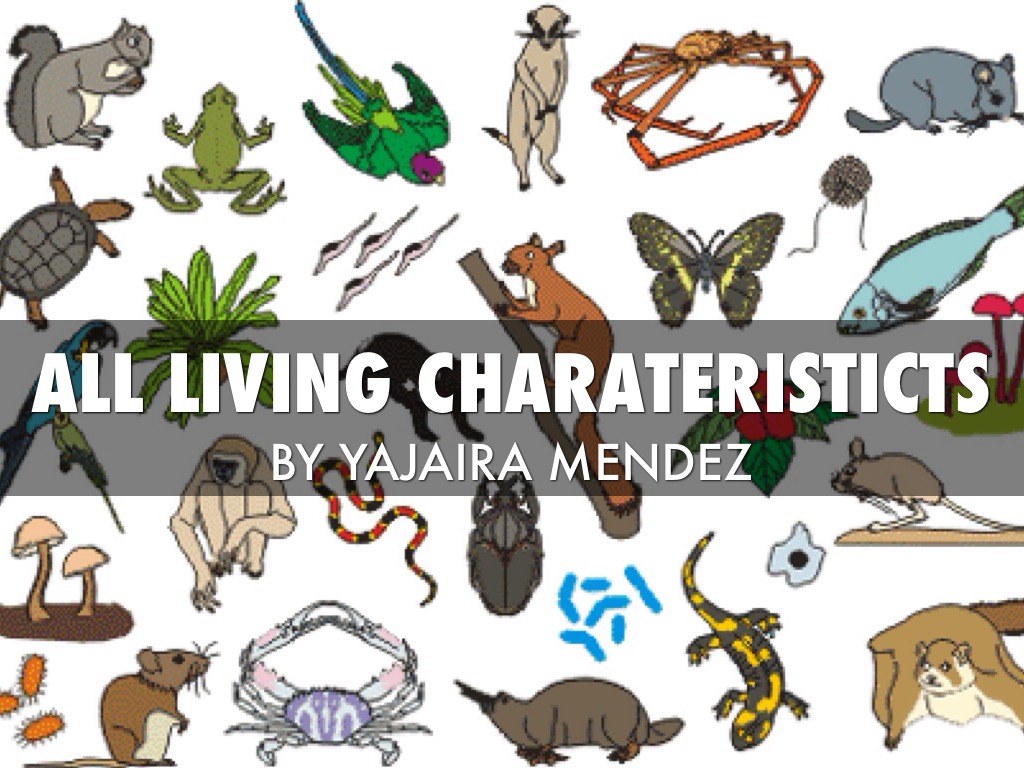 Living Chareraistics