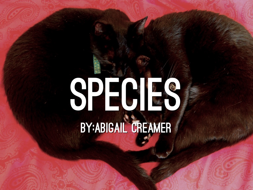 Species