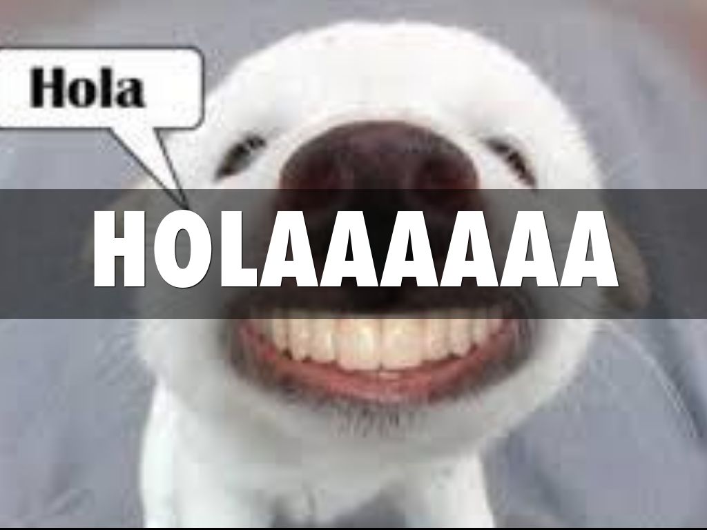 HOLAAAAAA