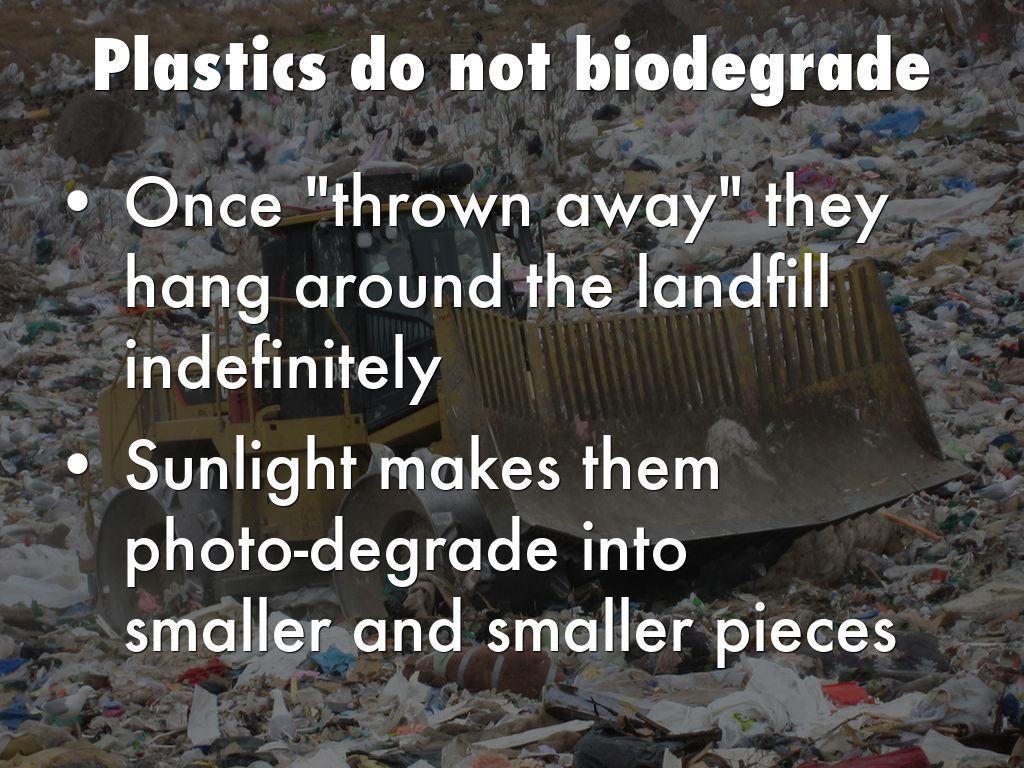 What's Wrong With Plastic? by Severena Johnston