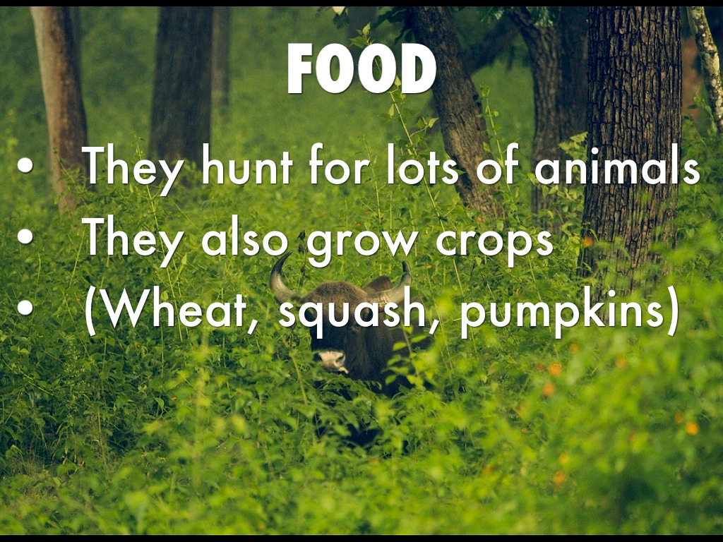 Eastern Woodlands by Mrs. Puckett's Class Buckner