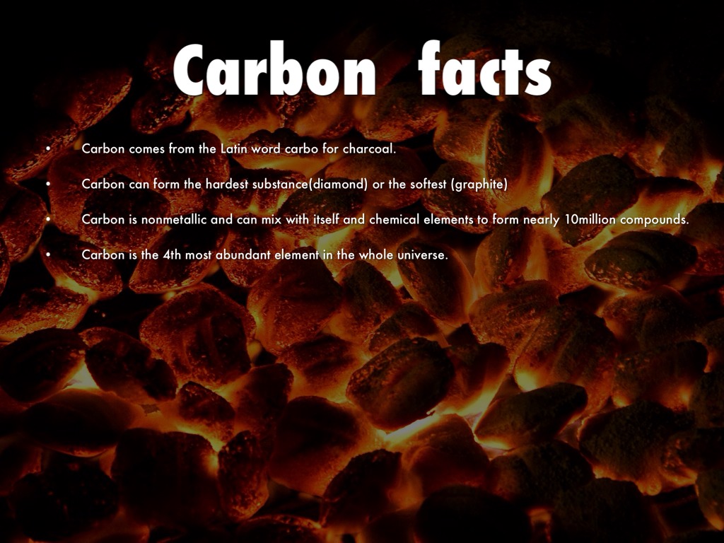 carbon 14 fun facts