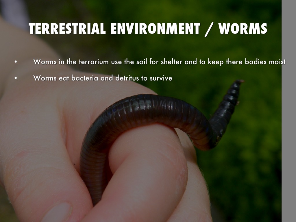 Made By Zack And Jacob