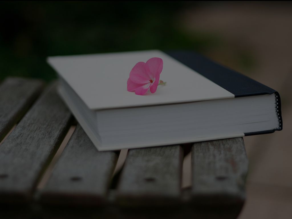 Haiku Deck in azione