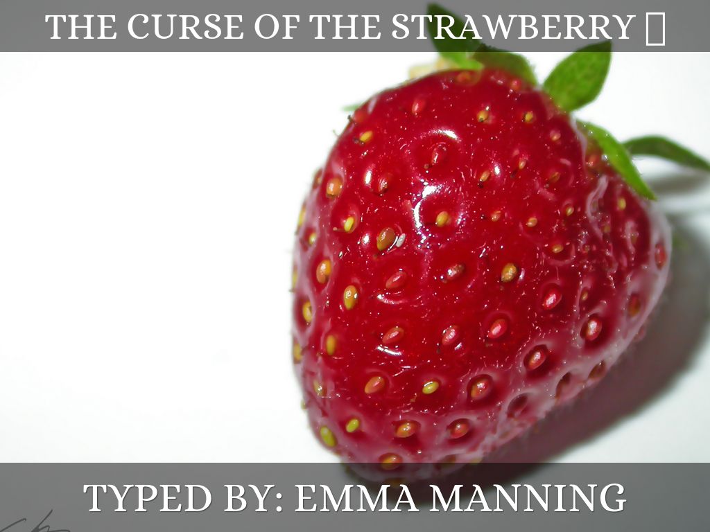 The Curse Of The Strawberry 🍓
