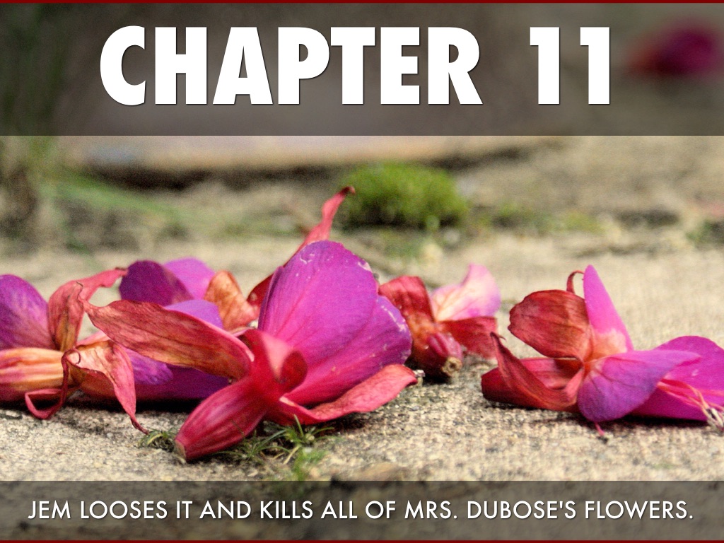 Copy of Title by emily rockwell