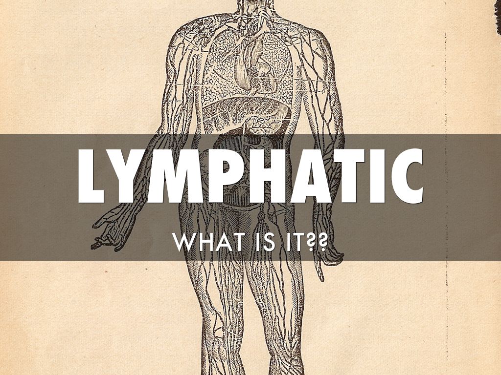 Lymphatic 