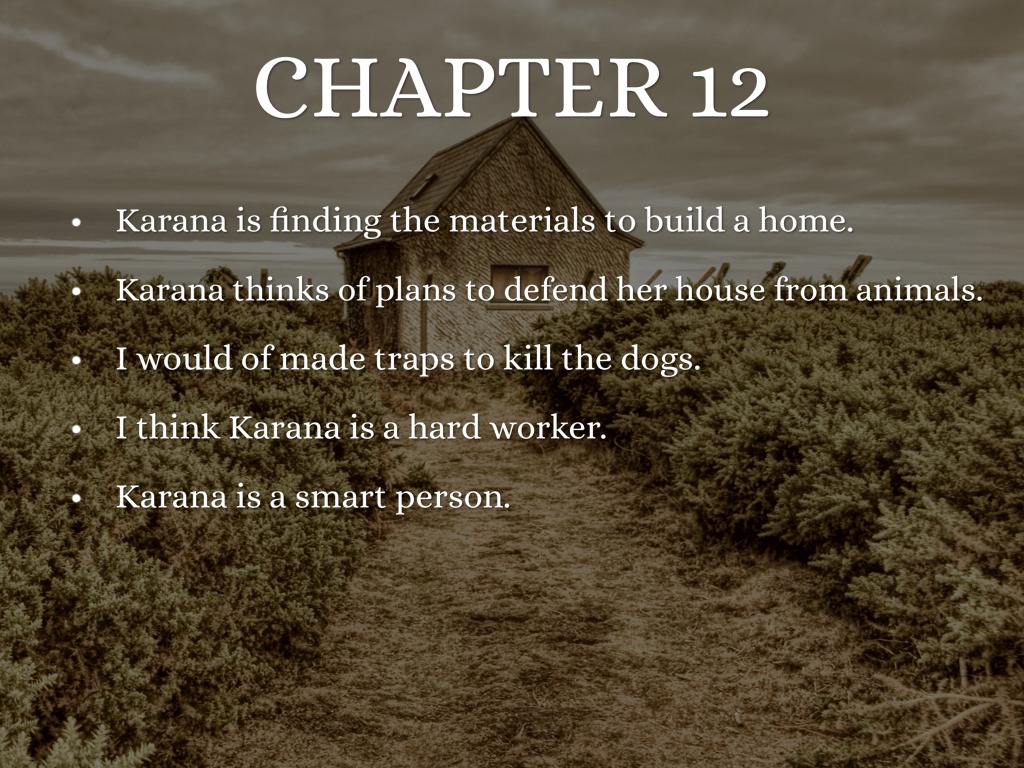 canada ontario lake of two rivers canoe canoes foggy water