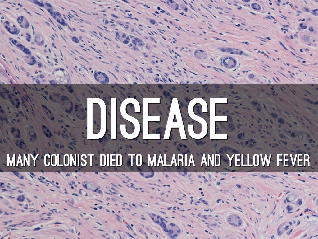 walter kaufmann death essay walter kaufmann death essay