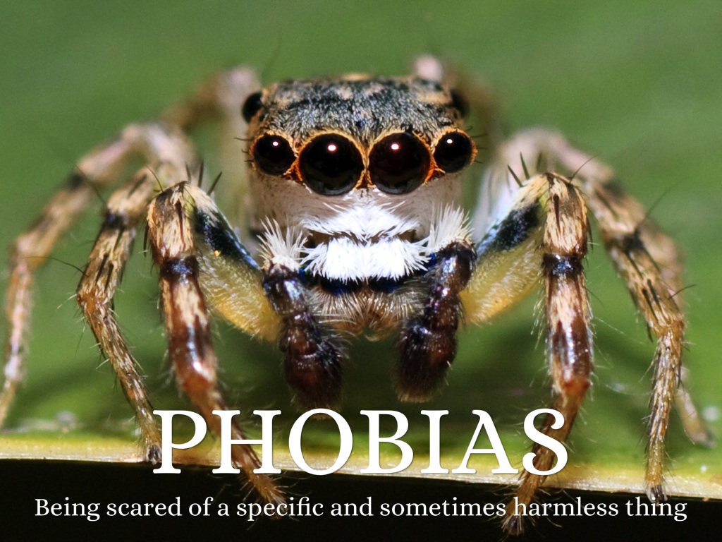 Phobias