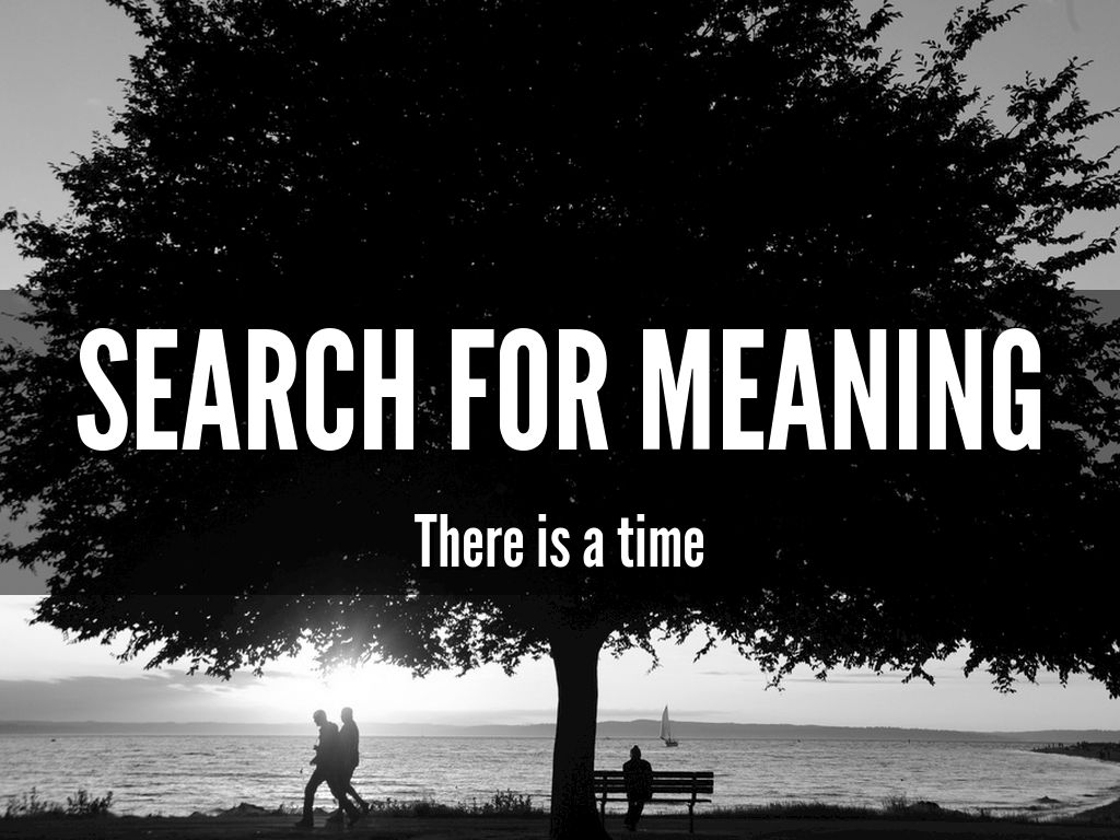 search for meaning