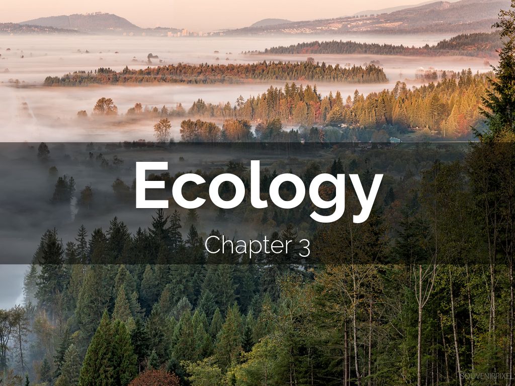 Ecology
