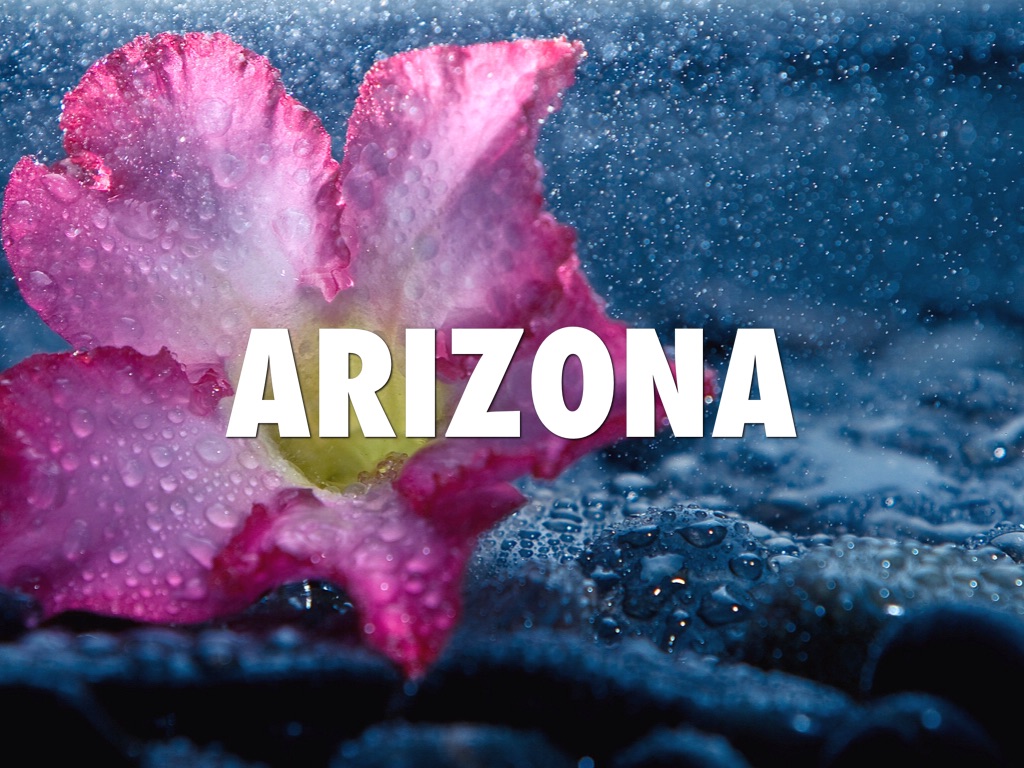 Arizona