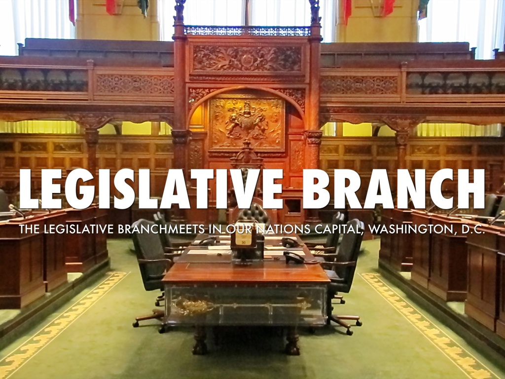 3 Branches Of Government 