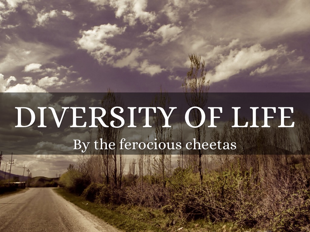 Diversity Of Life