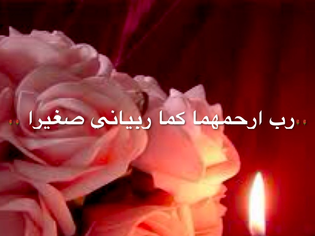 🌹تاج رآسي 🌹