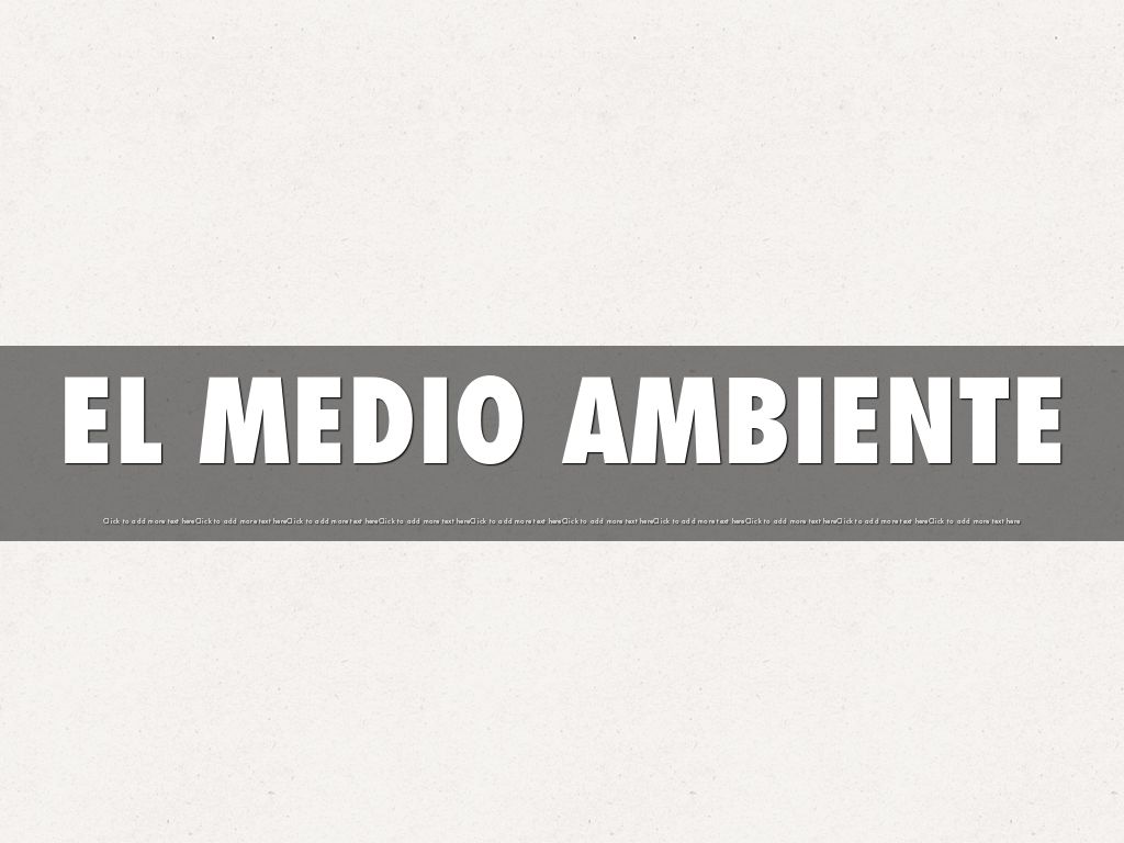 EL MEDIO AMBIENTE