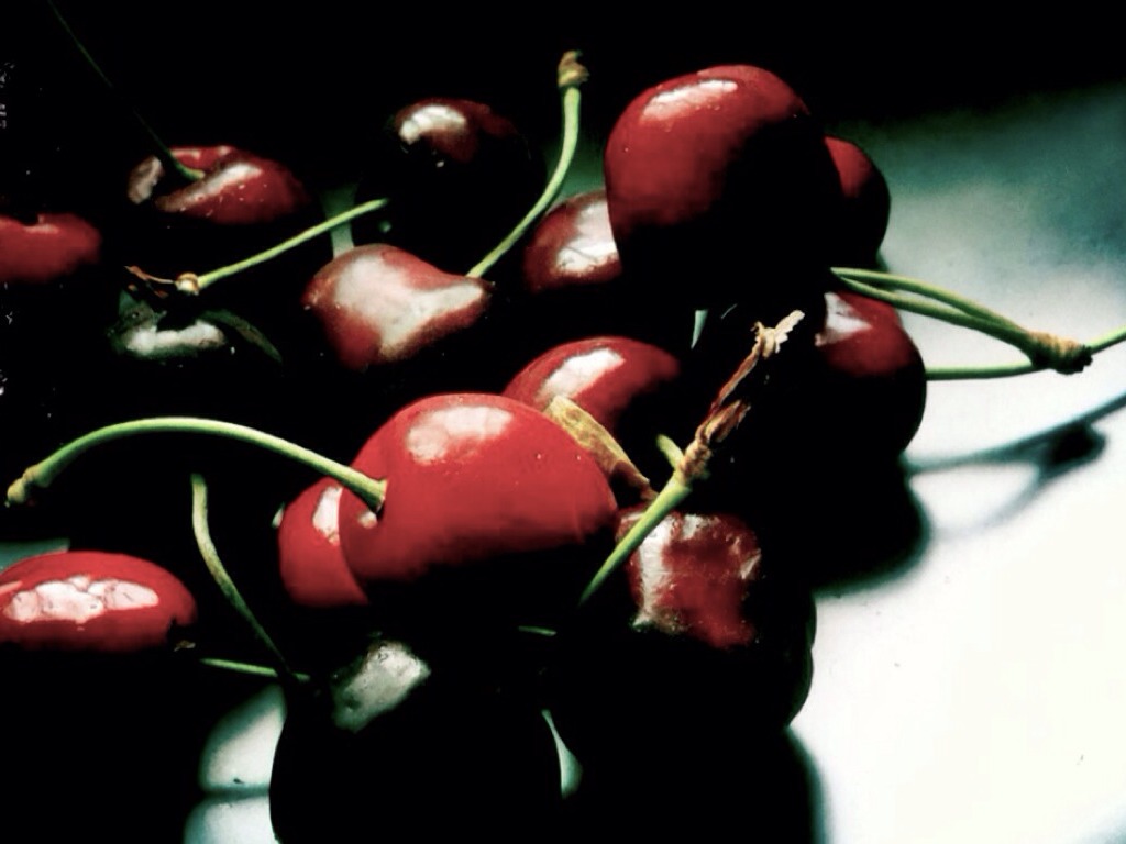 The Still Life Lounge